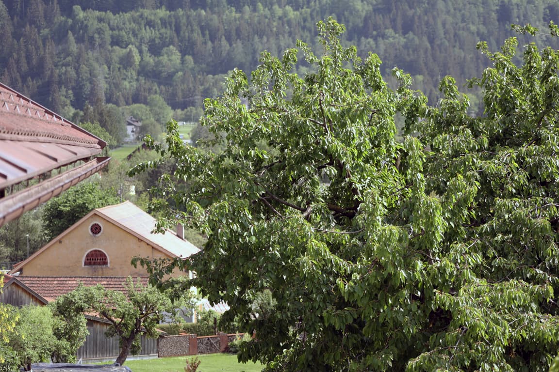 Ausblick in die Karnischen Alpen